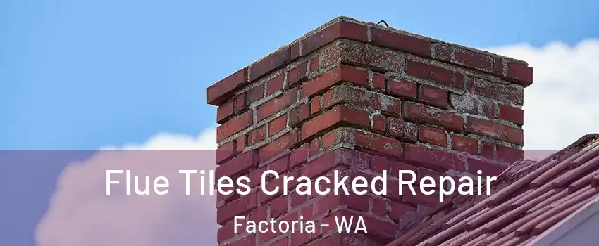 Flue Tiles Cracked Repair Factoria - WA