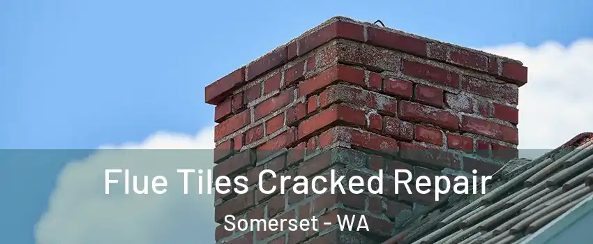 Flue Tiles Cracked Repair Somerset - WA