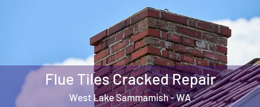 Flue Tiles Cracked Repair West Lake Sammamish - WA