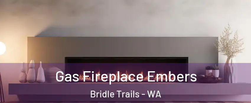 Gas Fireplace Embers Bridle Trails - WA