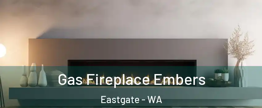 Gas Fireplace Embers Eastgate - WA