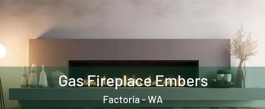 Gas Fireplace Embers Factoria - WA