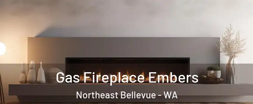 Gas Fireplace Embers Northeast Bellevue - WA