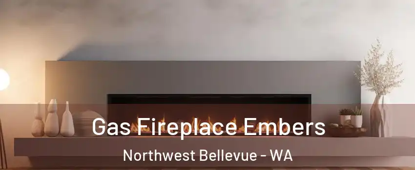 Gas Fireplace Embers Northwest Bellevue - WA