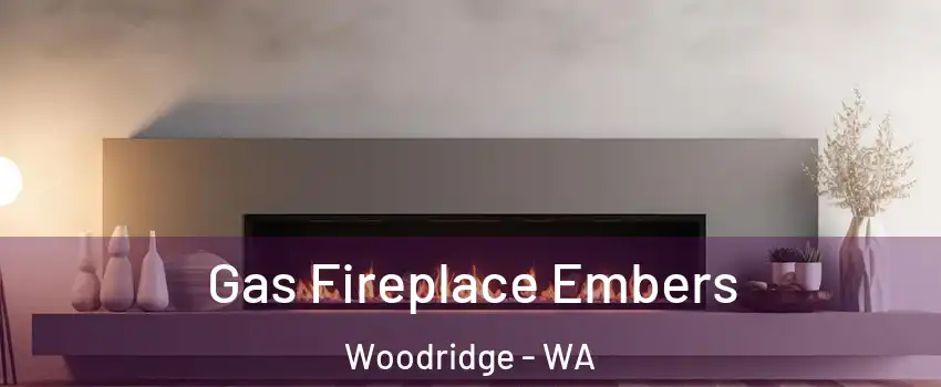 Gas Fireplace Embers Woodridge - WA