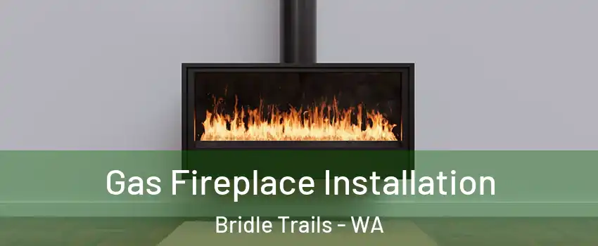 Gas Fireplace Installation Bridle Trails - WA