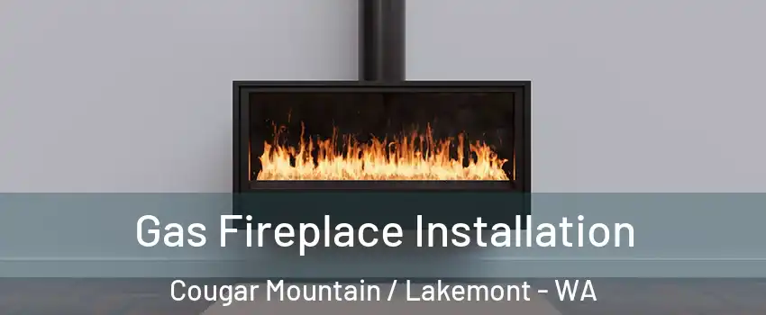 Gas Fireplace Installation Cougar Mountain / Lakemont - WA