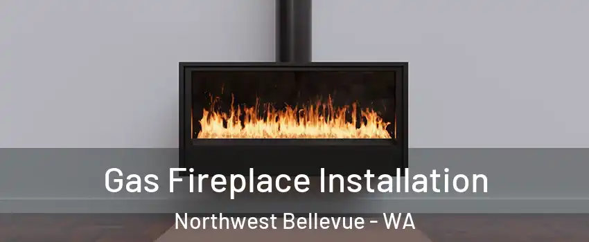 Gas Fireplace Installation Northwest Bellevue - WA