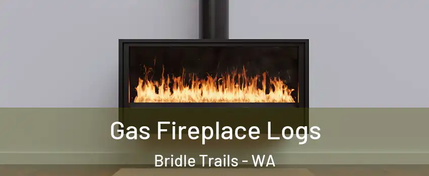 Gas Fireplace Logs Bridle Trails - WA