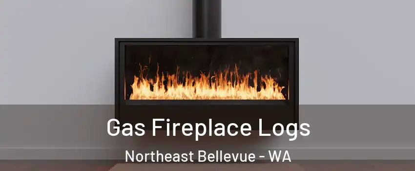 Gas Fireplace Logs Northeast Bellevue - WA