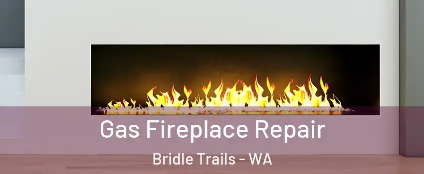 Gas Fireplace Repair Bridle Trails - WA