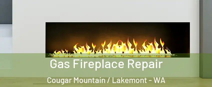 Gas Fireplace Repair Cougar Mountain / Lakemont - WA