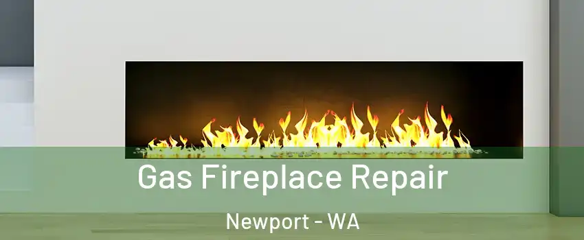 Gas Fireplace Repair Newport - WA