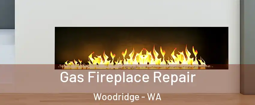 Gas Fireplace Repair Woodridge - WA