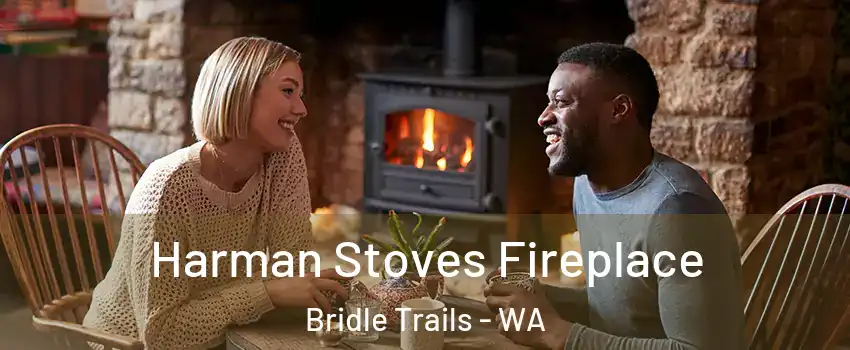 Harman Stoves Fireplace Bridle Trails - WA