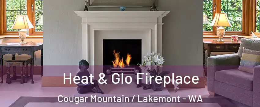 Heat & Glo Fireplace Cougar Mountain / Lakemont - WA