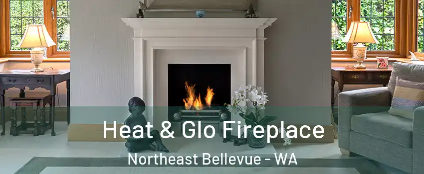 Heat & Glo Fireplace Northeast Bellevue - WA