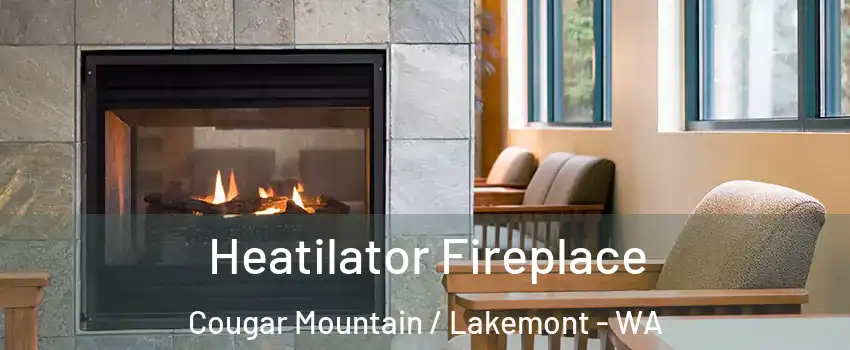 Heatilator Fireplace Cougar Mountain / Lakemont - WA