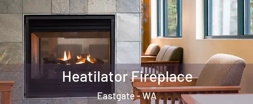 Heatilator Fireplace Eastgate - WA