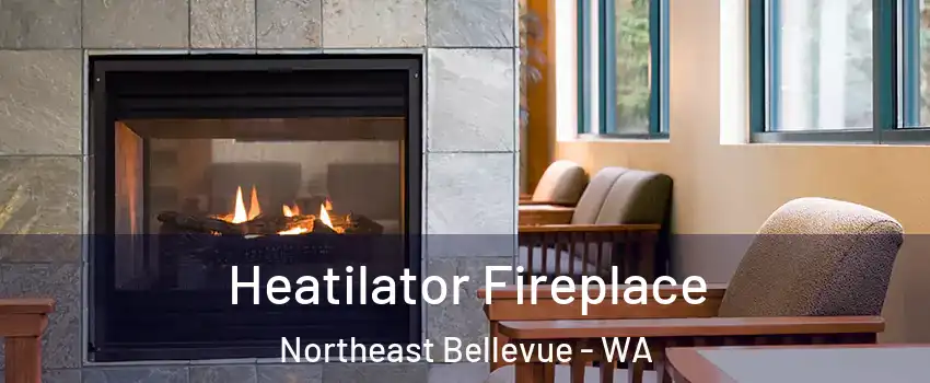 Heatilator Fireplace Northeast Bellevue - WA