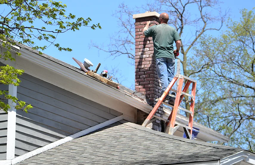 Chimney & Fireplace Inspections Services in Bellevue, WA