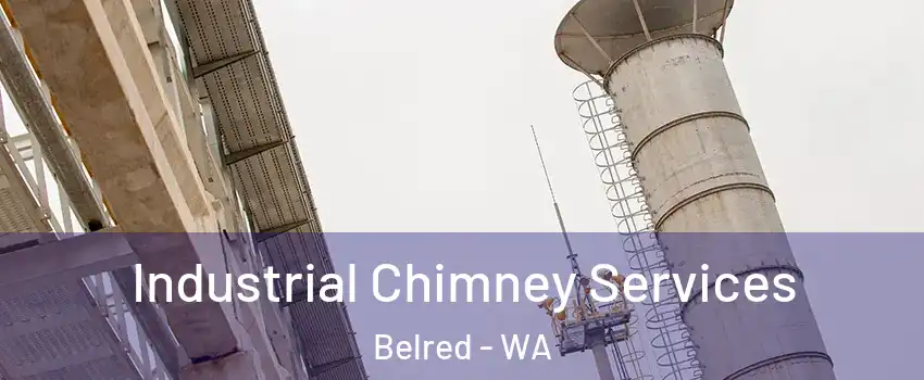 Industrial Chimney Services Belred - WA