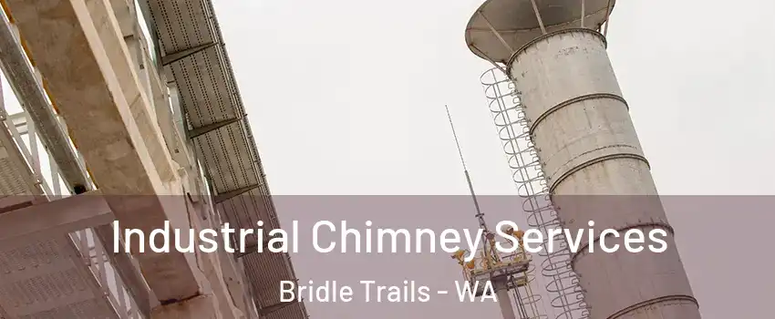 Industrial Chimney Services Bridle Trails - WA