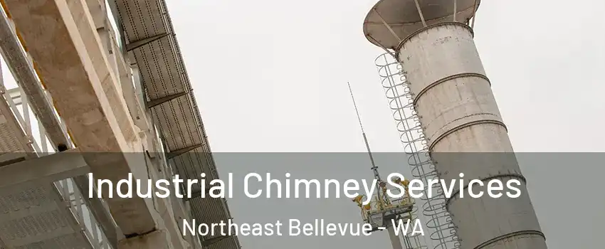 Industrial Chimney Services Northeast Bellevue - WA