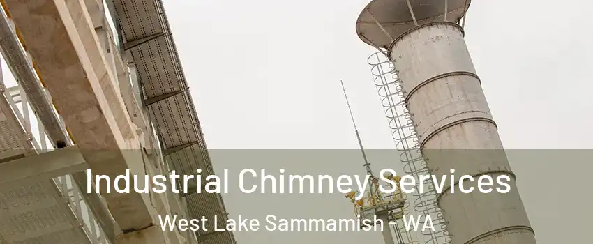 Industrial Chimney Services West Lake Sammamish - WA