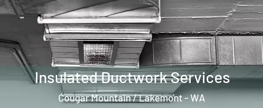 Insulated Ductwork Services Cougar Mountain / Lakemont - WA