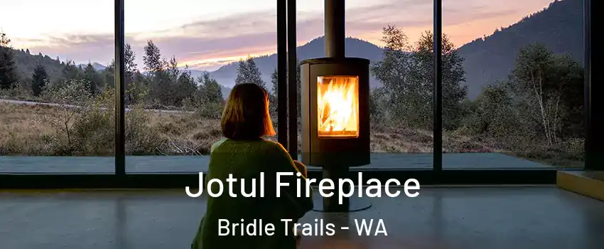 Jotul Fireplace Bridle Trails - WA