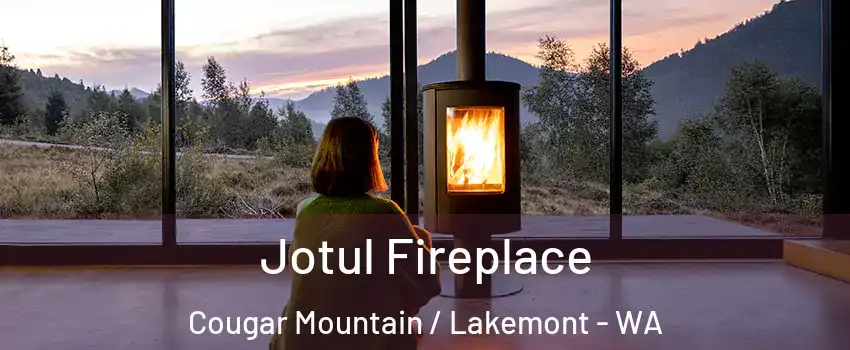 Jotul Fireplace Cougar Mountain / Lakemont - WA