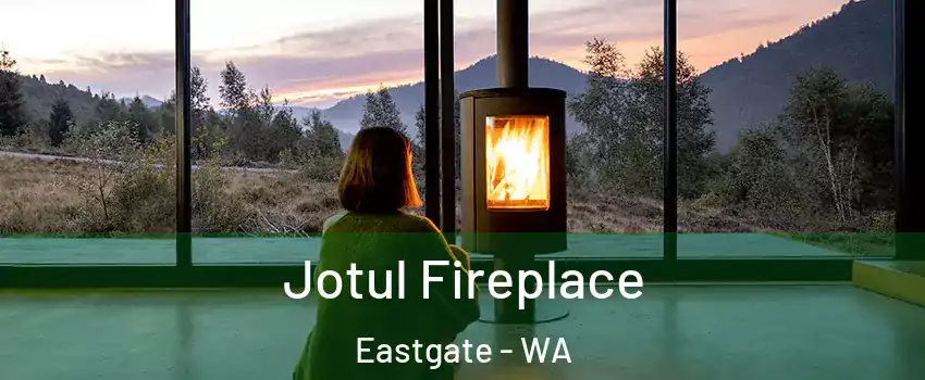 Jotul Fireplace Eastgate - WA