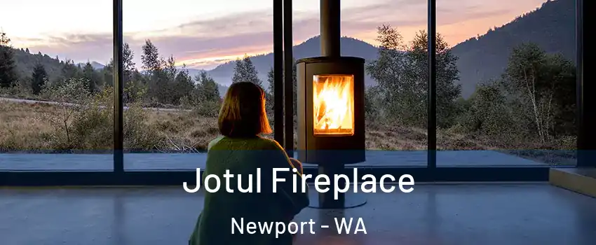 Jotul Fireplace Newport - WA