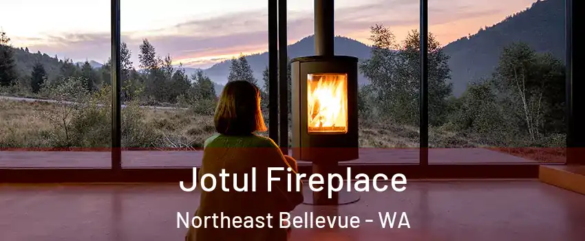 Jotul Fireplace Northeast Bellevue - WA