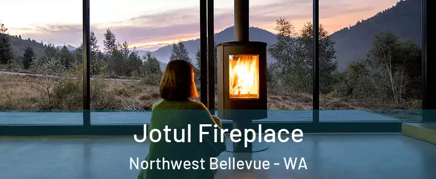 Jotul Fireplace Northwest Bellevue - WA