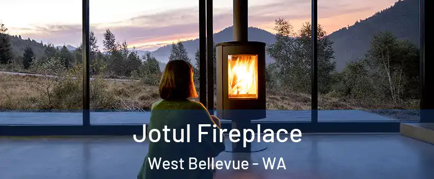 Jotul Fireplace West Bellevue - WA