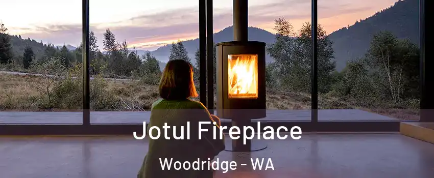 Jotul Fireplace Woodridge - WA