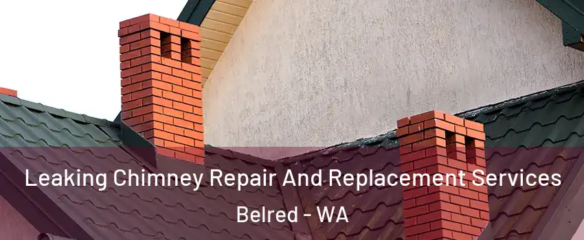 Leaking Chimney Repair And Replacement Services Belred - WA