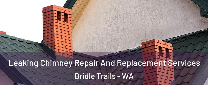 Leaking Chimney Repair And Replacement Services Bridle Trails - WA