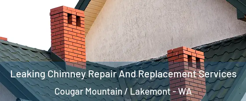 Leaking Chimney Repair And Replacement Services Cougar Mountain / Lakemont - WA