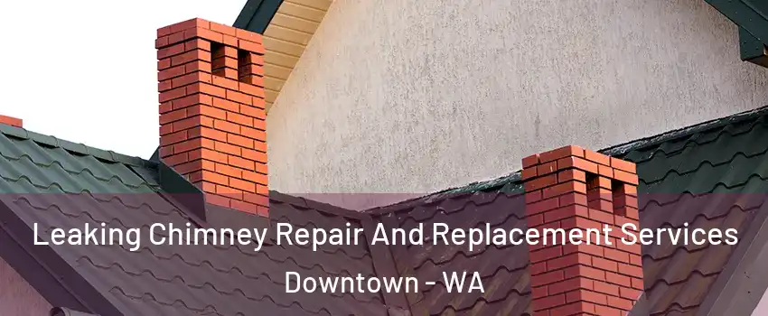 Leaking Chimney Repair And Replacement Services Downtown - WA