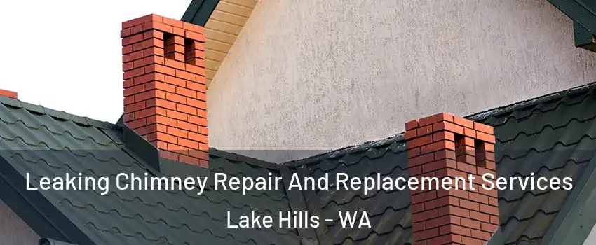 Leaking Chimney Repair And Replacement Services Lake Hills - WA