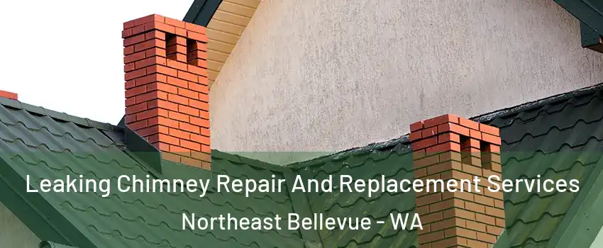 Leaking Chimney Repair And Replacement Services Northeast Bellevue - WA