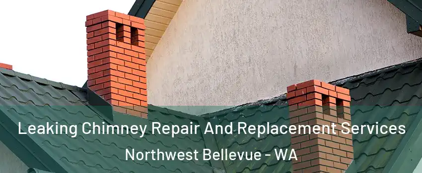 Leaking Chimney Repair And Replacement Services Northwest Bellevue - WA