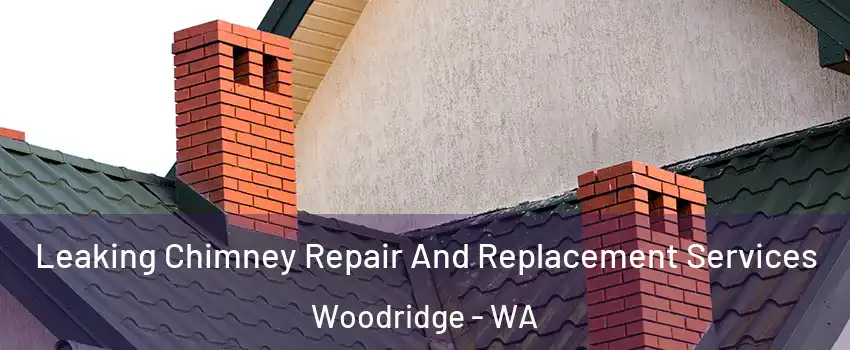 Leaking Chimney Repair And Replacement Services Woodridge - WA