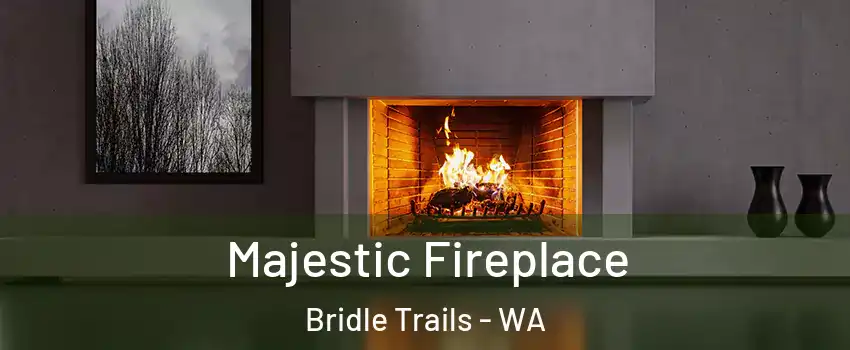 Majestic Fireplace Bridle Trails - WA