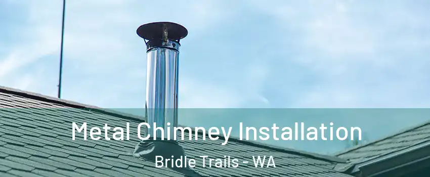 Metal Chimney Installation Bridle Trails - WA