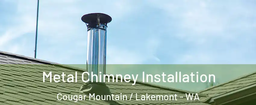 Metal Chimney Installation Cougar Mountain / Lakemont - WA