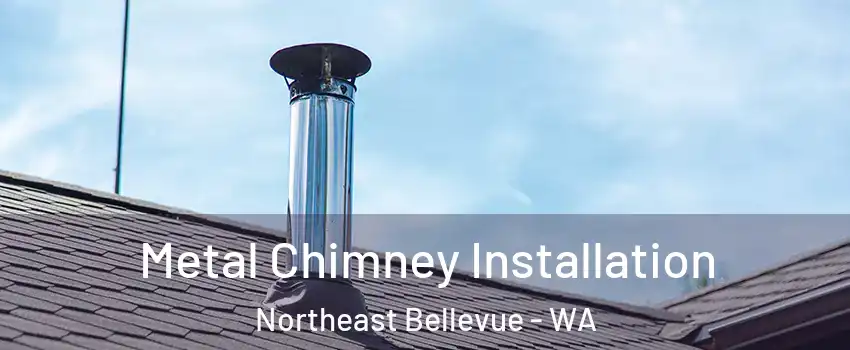 Metal Chimney Installation Northeast Bellevue - WA